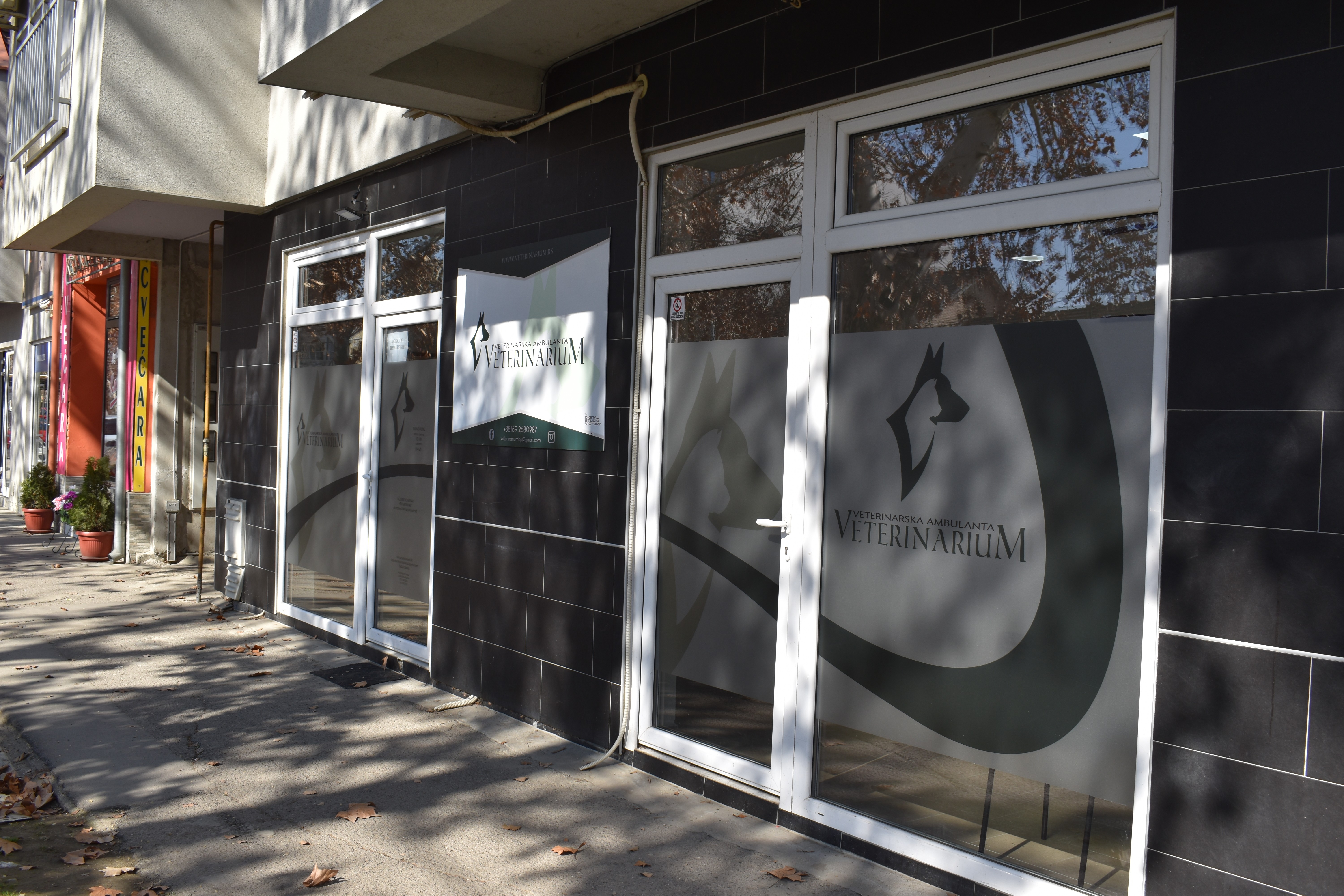 Veterinar Backa Palanka