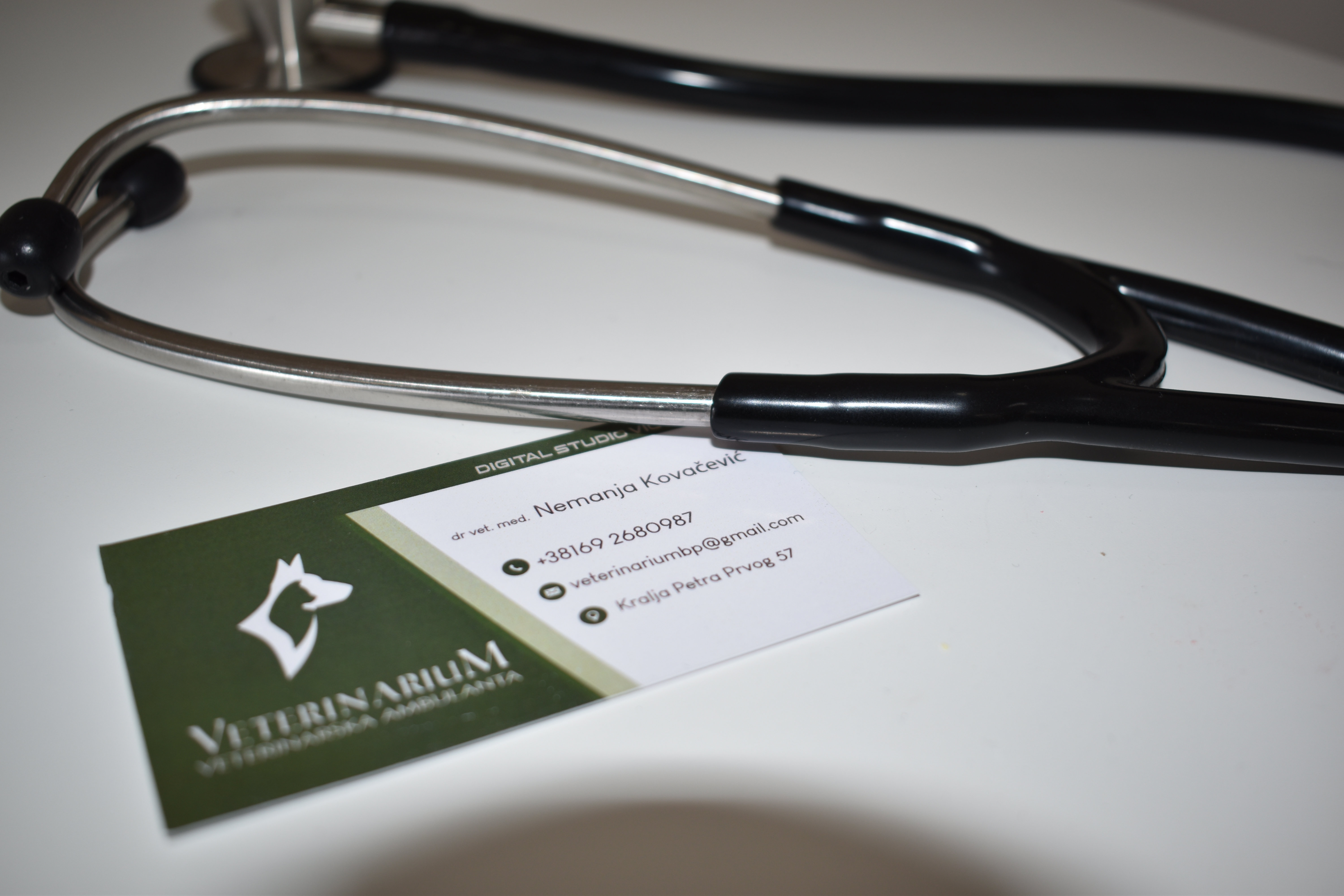 Veterinar Backa Palanka