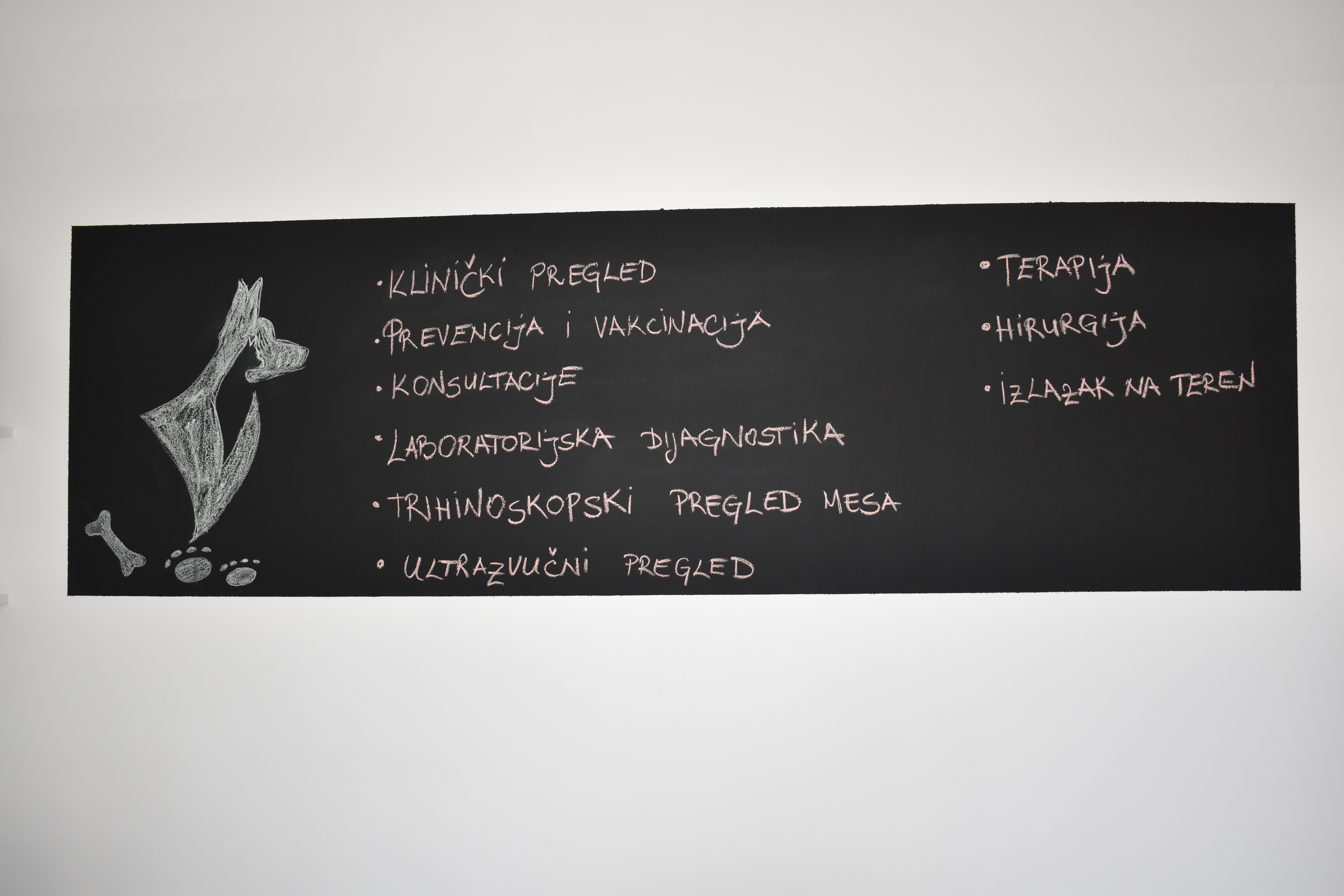 Veterinar Backa Palanka